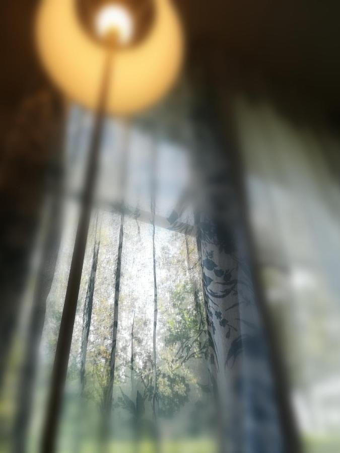 ヴィッロルバ La Libellula Bed & Breakfast エクステリア 写真